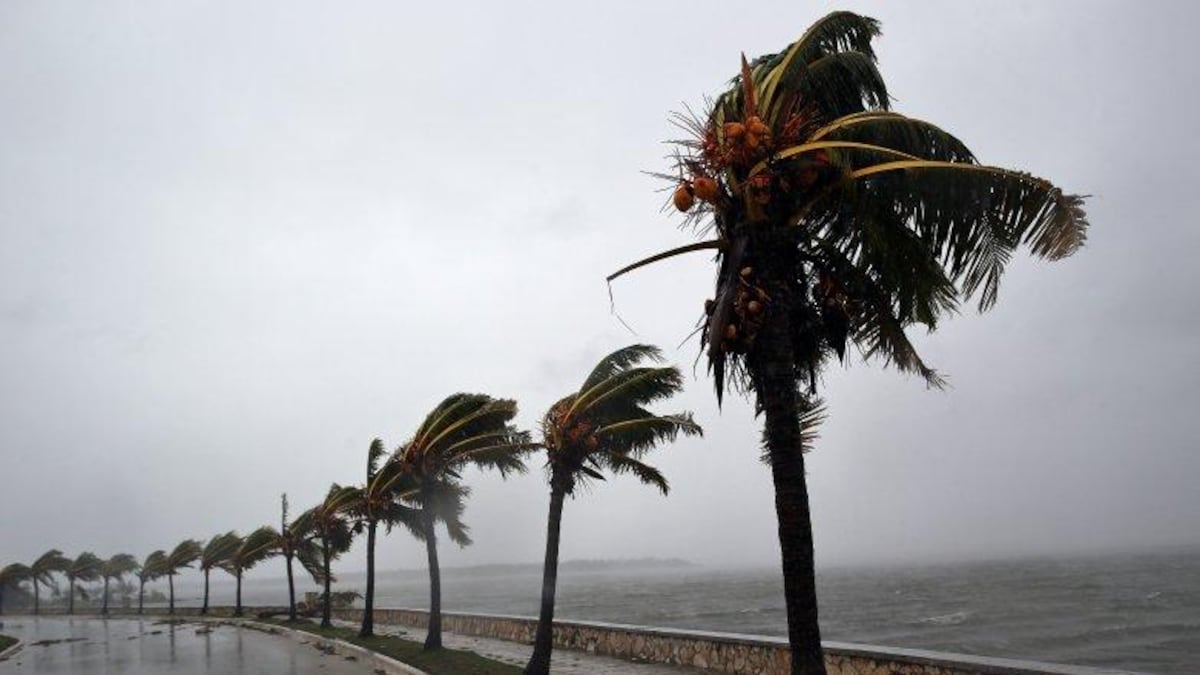 Tormenta Nor'easter amenaza con vientos similares a la intensidad de un huracán de categoría 1: qué esperar este fin de semana en EE. UU.
