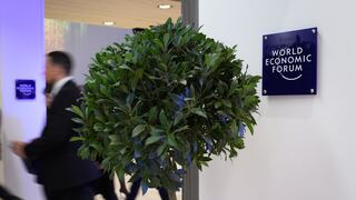 En Davos, todo el mundo quiere plantar árboles