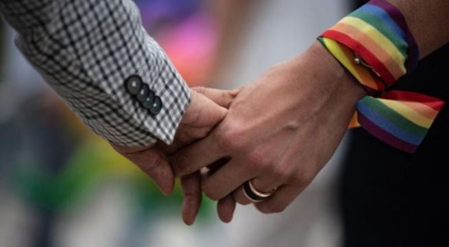 Unión civil entre personas del mismo sexo a un peldaño de ser ley. Foto: difusión