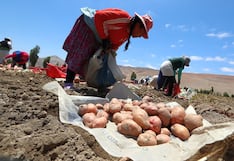 Economía “en rojo”: 15 de 24 departamento con cifras negativas