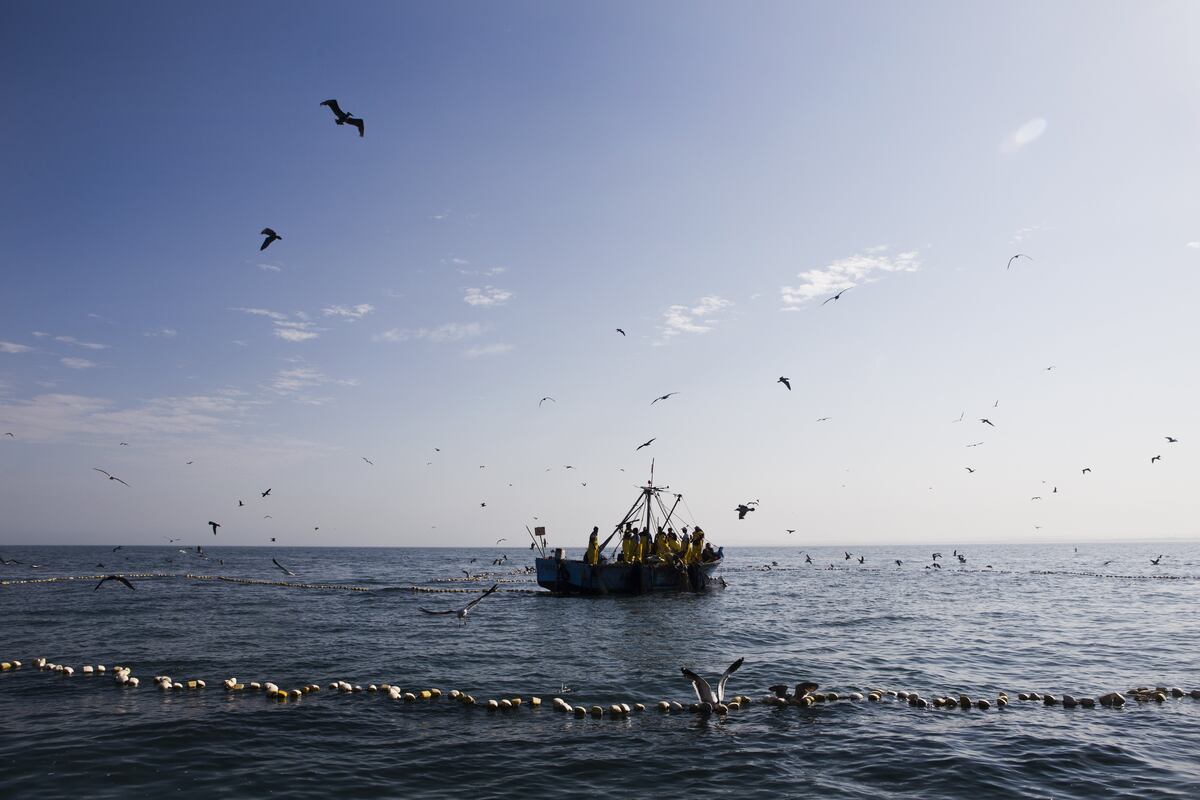 Pesca. (Foto: GEC)