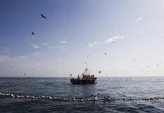 Gobierno aprueba incluir embarcaciones de uso particular dentro del régimen para turismo