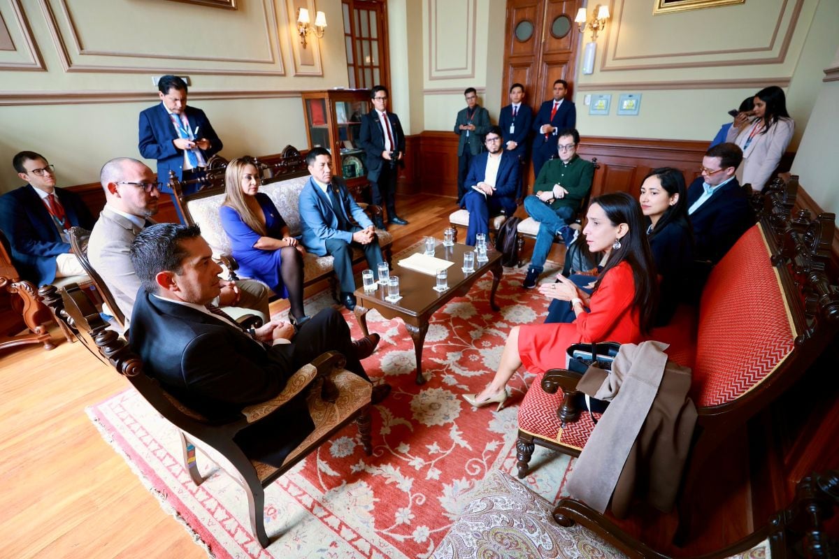 La reunión incluyó temas como inteligencia artificial, regulación de plataformas, protección de datos y seguridad de menores en internet. Foto: Congreso.