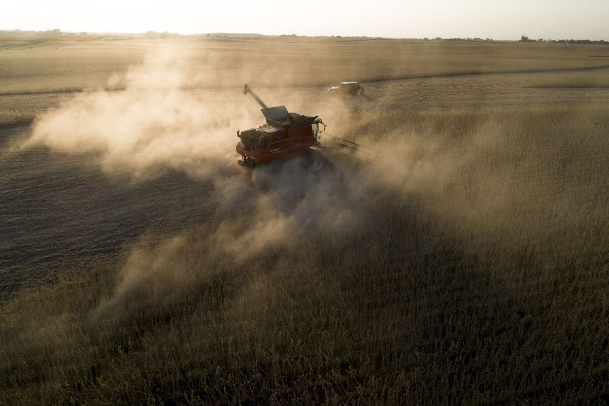Cosechando soja en Wyanet, Illinois.