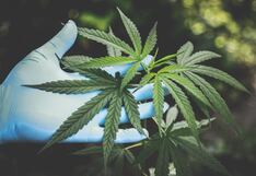 Qué significa la reclasificación de la marihuana para EE.UU.