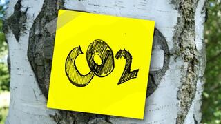 Dióxido de carbono: ¿qué es y cómo se origina?