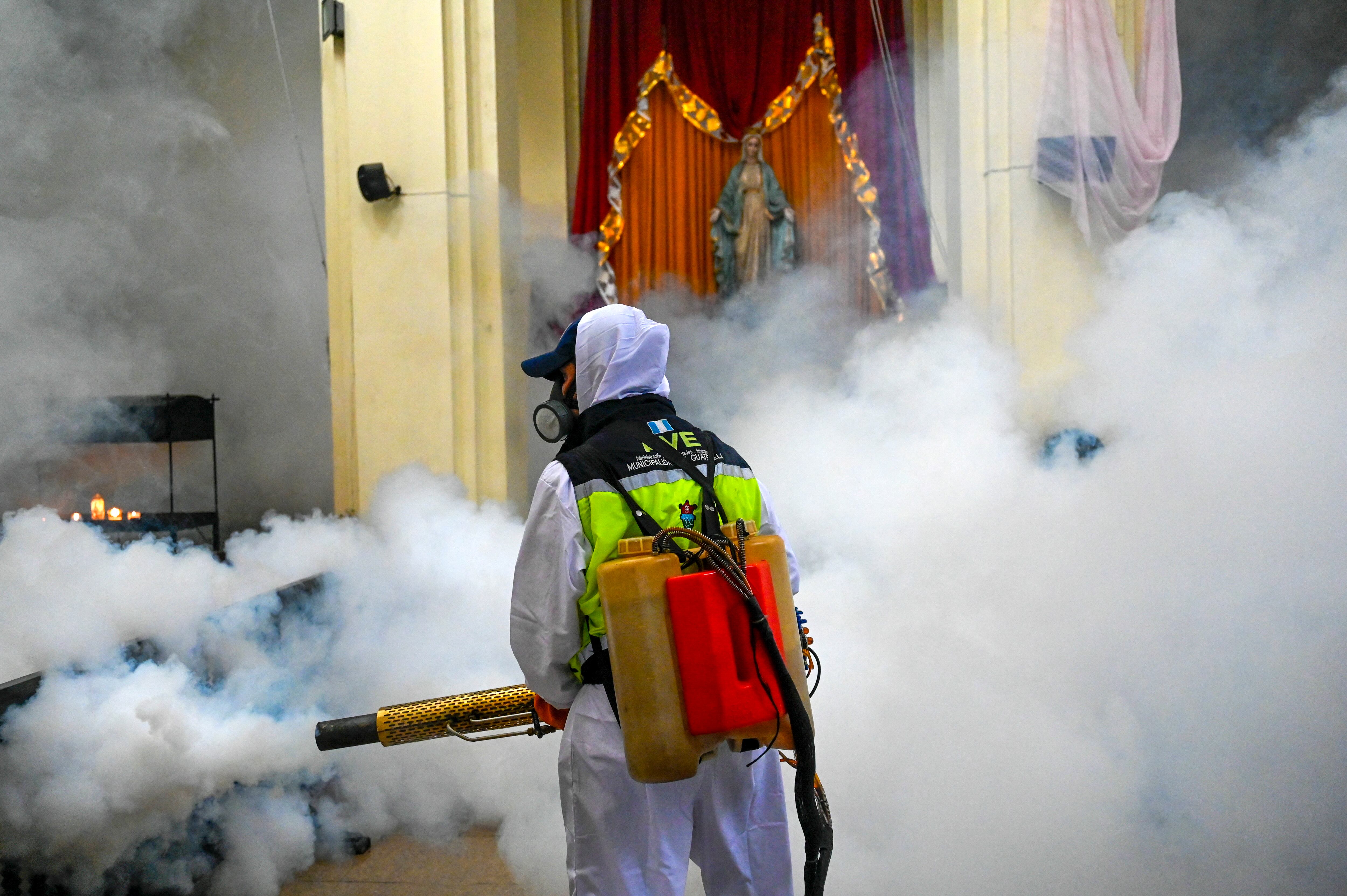 El cambio climático y la necesidad de medidas preventivas son cruciales ante el dengue. Foto: EFE