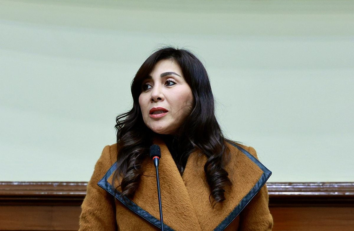 El JEE Lima Centro 2 indicó que presuntamente se infringió el artículo 42 de la Ley de Organizaciones Políticas, que prohíbe la entrega de dádivas en un contexto de propaganda electoral. (Foto: Congreso)