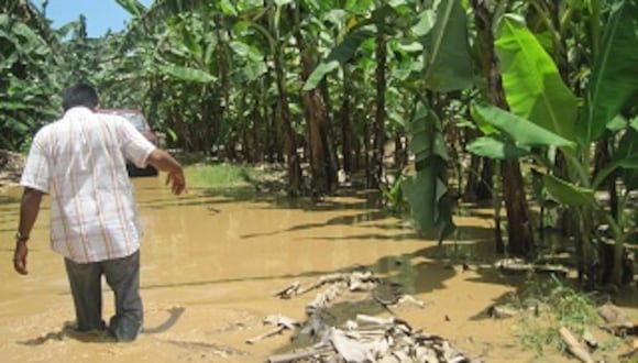 Desborde de ríos inunda barrios de Iñapari en Madre de Dios