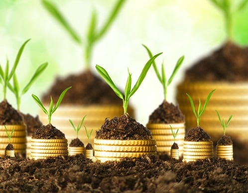 Los Estados miembros de la UE, que tienen voz y voto en las normas, dieron su visto bueno a principios de año. (Foto: Shutterstock)