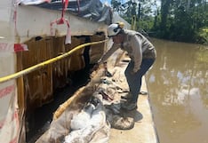 OEFA ordena limpieza total de áreas afectadas por derrame de petróleo en el río Amazonas