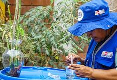 Dengue en el Perú: hallan más de 1,500 criaderos de zancudos en Lima