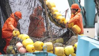 Sector pesquero de Perú crecería 65% este año por mayor desembarque de anchoveta
