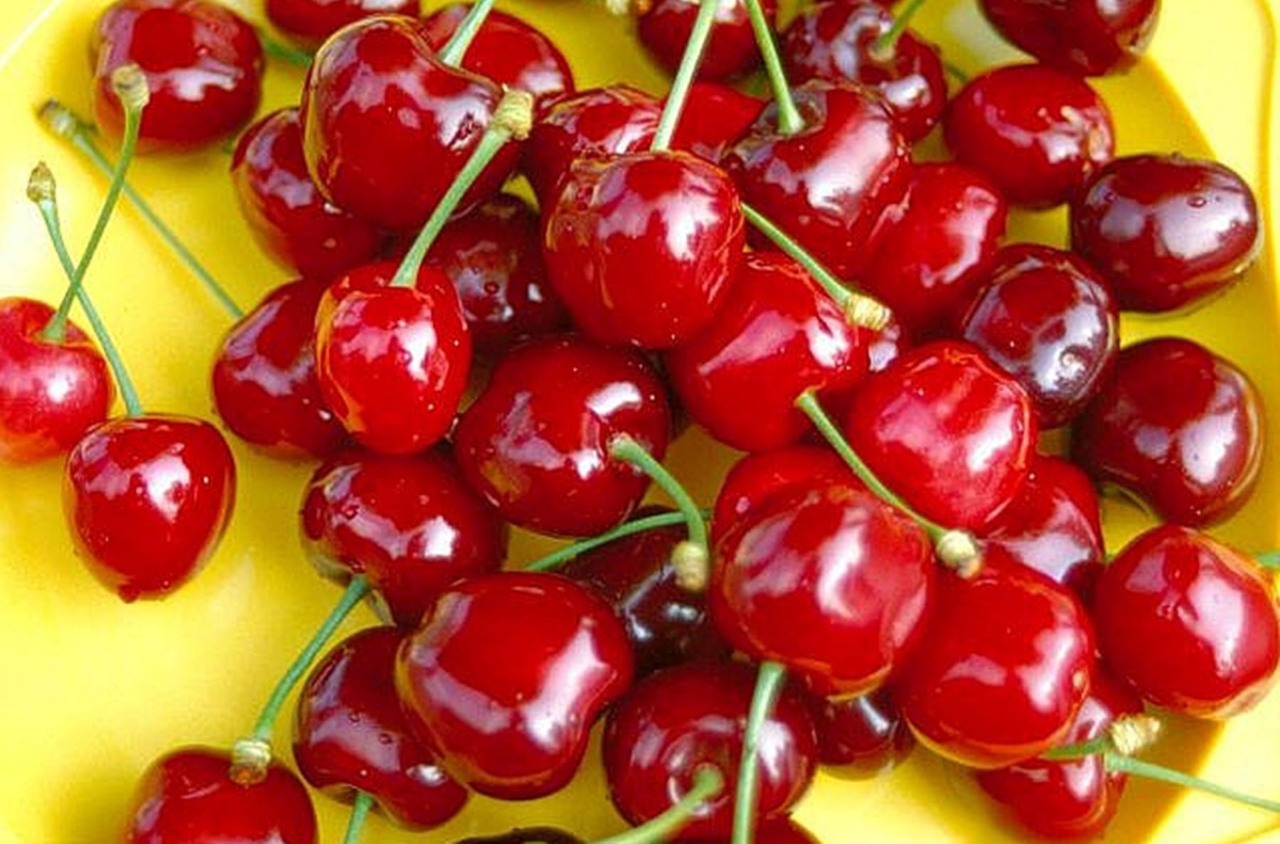 La cereza y la pitahaya entre los principales productos agrícolas que buscan la apertura de nuevos mercados en el 2026. (Imagen: Andina)