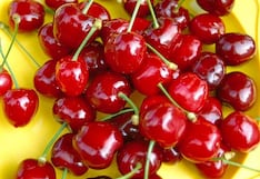 13 productos del agro quieren entrar a nuevos mercados del mundo: el abanico que se abre