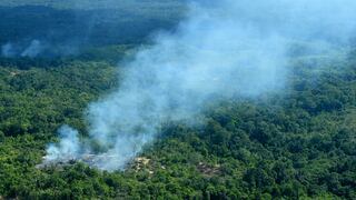 Amazonía y las claves de un paraíso medioambiental en llamas 