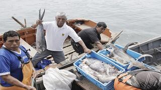 Estas son las cuatro medidas de urgencia emitidas por el Gobierno para el sector pesquero