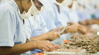 Sanipes: China suspendió operaciones de Tropical Food Manufacturing