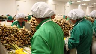 Agroexportaciones peruanas crecerían 7% este año por más envíos a China, EE.UU. y Canadá