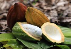 Cacao alcanza su máximo en 46 años en Londres; azúcar toca pico en 12 años