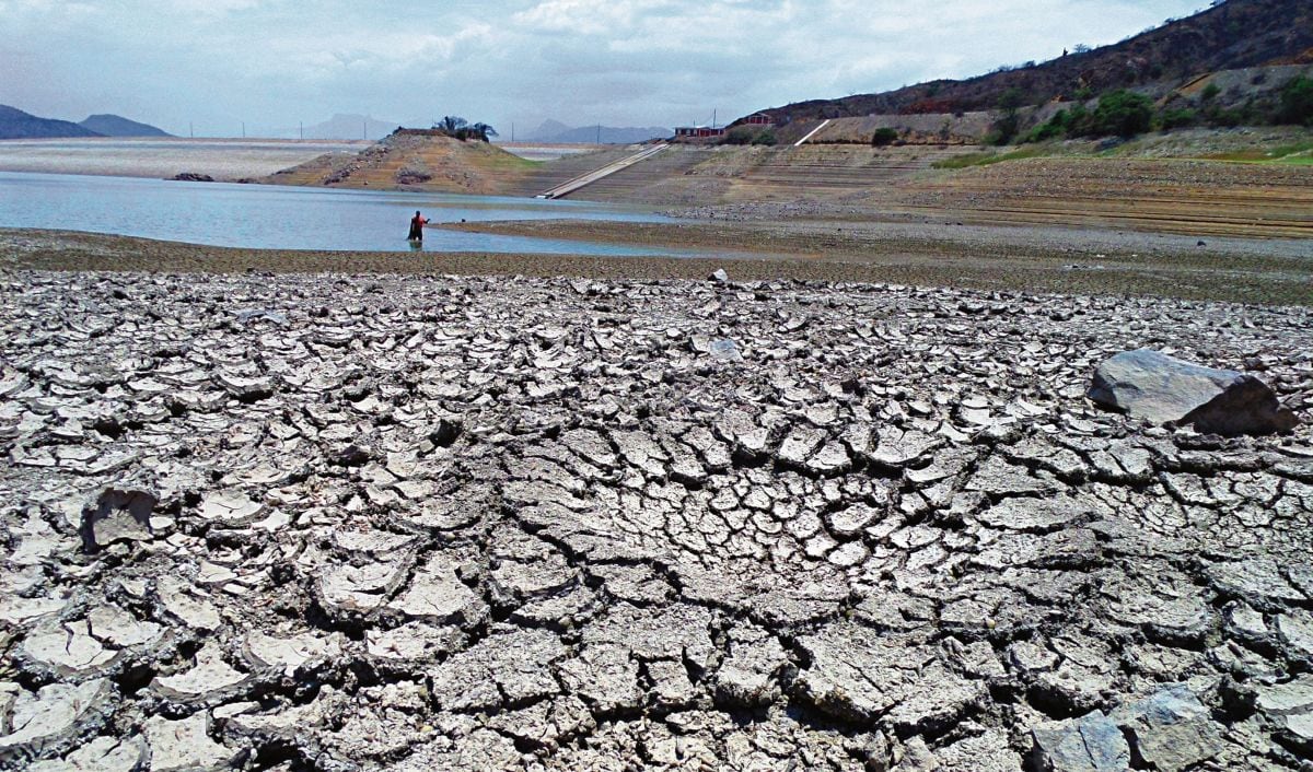 El Poder Ejecutivo declaró el estado de emergencia por 60 días calendario más en 316 distritos de nueve regiones. (Foto: Midagr). (Wilfredo Sandoval / archivo)