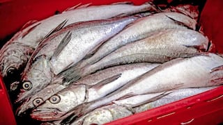 Nuevos derechos de pesca para tres especies serán oficializados en mayo, estima Produce