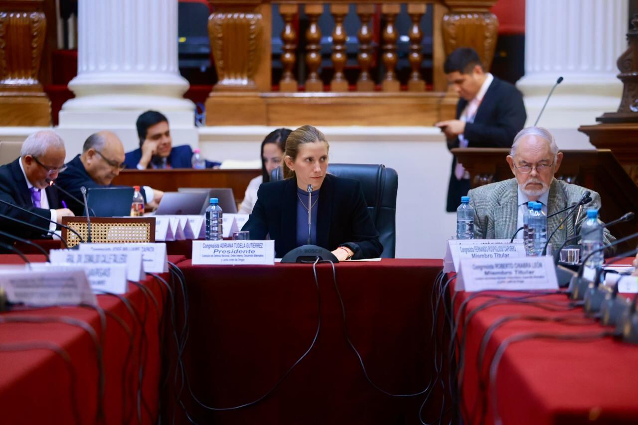 Congresista Adriana Tudela preside la sesión de la Comisión de Defensa Nacional y Orden Interno, Desarrollo Alternativo y Lucha contra las Drogas en la sala Raúl Porras Barrenechea. (Congreso de la República/JReátegui)