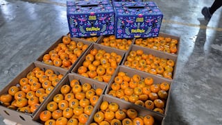 Agrifruits prevé caída de hasta 30% en producción de mandarinas por efectos de ‘El Niño’