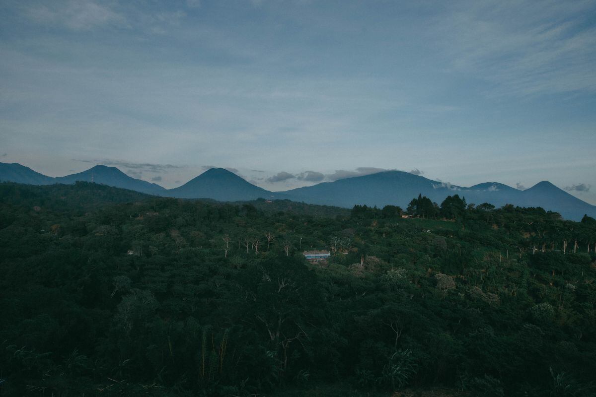 Volcanic soil gives El Salvador's coffee an acidity valued by connoisseurs Photographer: Carlos Barrera/Bloomberg