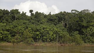 Lanzan campaña para proteger reserva de Amazonía peruana de la minería ilegal