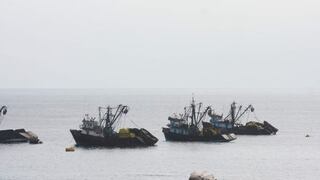 SNP: Falta de control a la flota pesquera artesanal pondría en riesgo seis especies