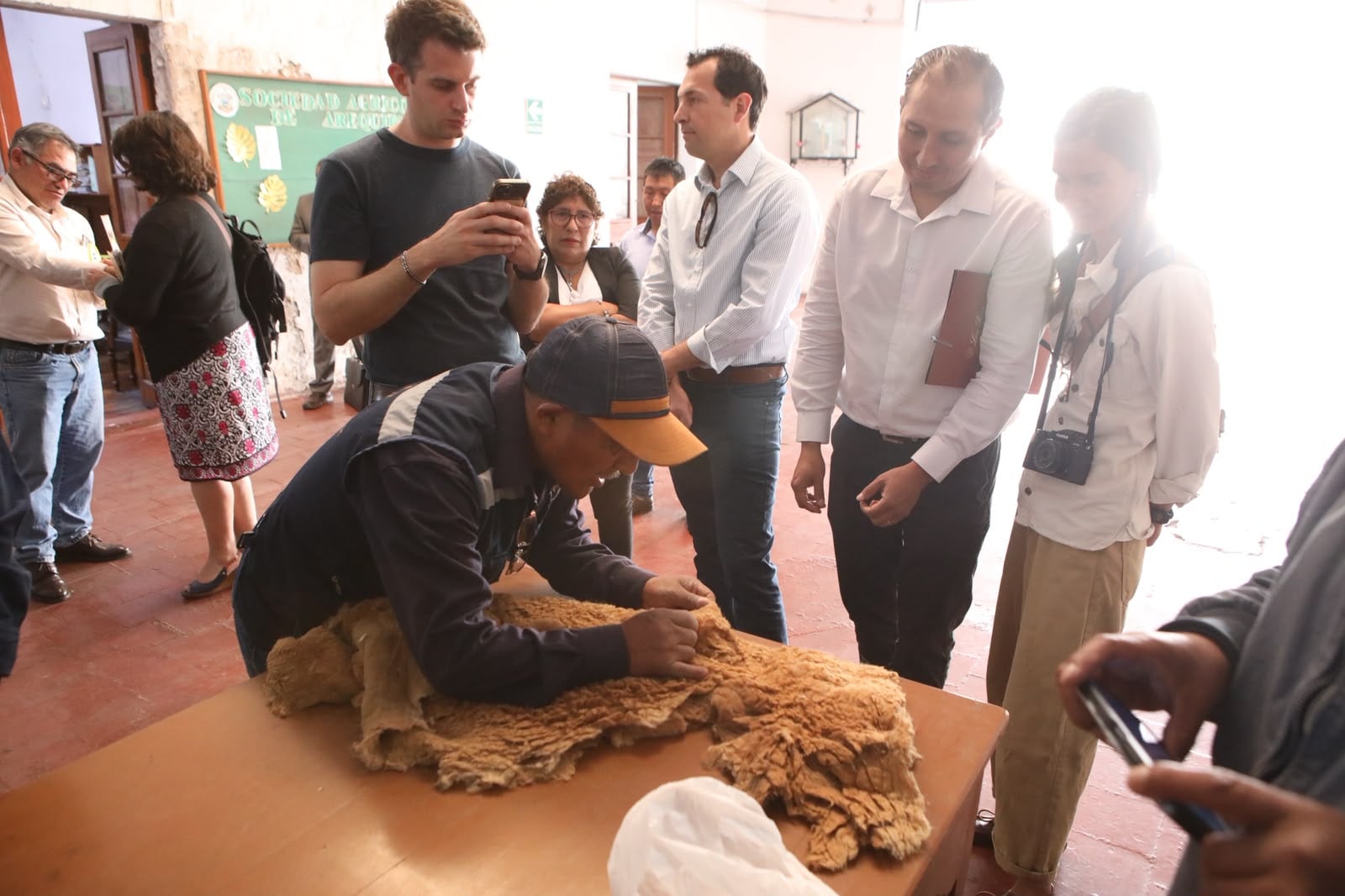 El precio base de la fibra de vicuña fue de US$450 por kilo, bajo la modalidad de venta en un único lote. Foto: Serfor.