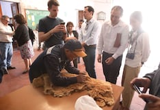 Serfor: venden en Arequipa fibra de vicuña por más de S/2.3 millones en subasta