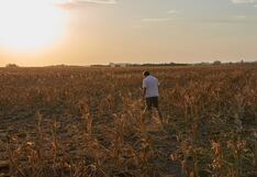 Crisis financiera de Argentina se aliviará con nueva cosecha a partir de noviembre