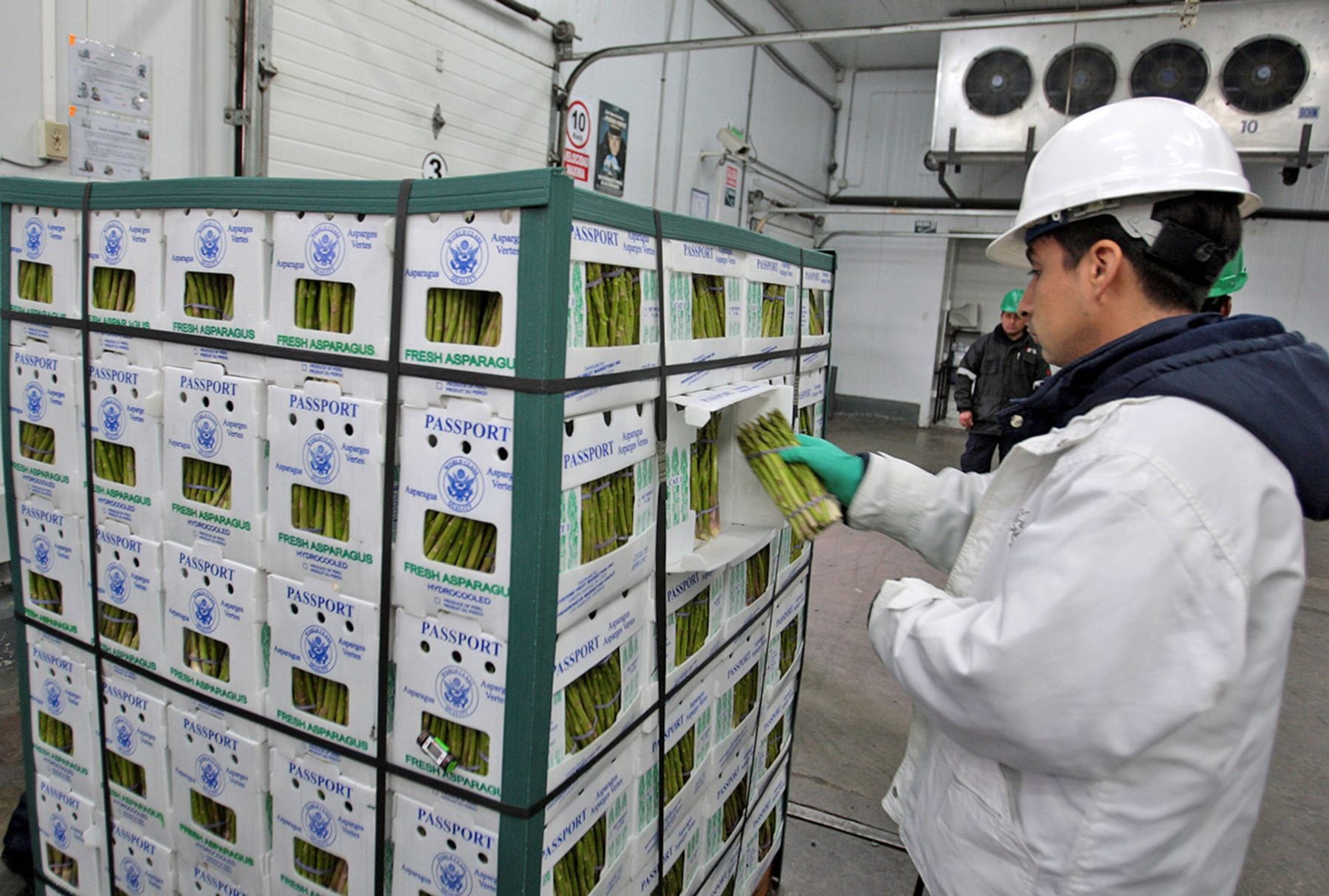 ¿Cómo un país con inestabilidad política sigue atrayendo inversión? El "gancho" de Perú. (Foto: Andina)