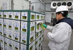 Inversión de España crece en Perú: 3 sectores que “seducen” al empresariado