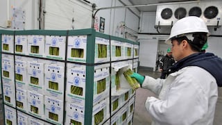 Inversión de España crece en Perú: 3 sectores que “seducen” al empresariado