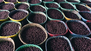 ¿Boom del acaí peruano?: así se movieron las exportaciones a 17 países