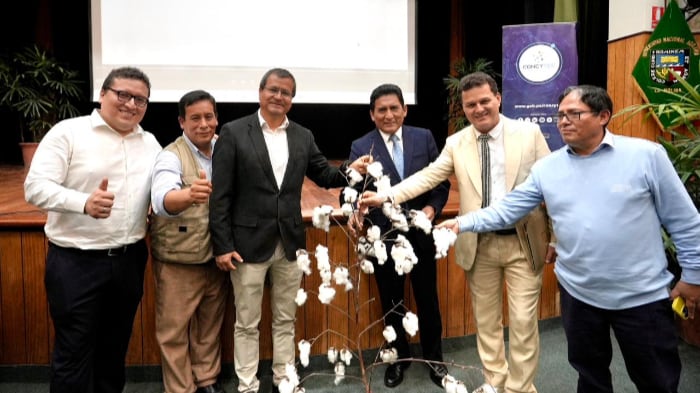 La UNALM entregó al Produce pruebas del nuevo algodón 'molinero extralargo', a la que definen como un hito de innovación genética. Foto: Produce