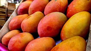 Mercados claves del mango fresco de Perú comienzan a sentir su ausencia debido al paro
