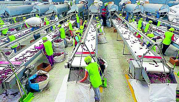 La propuesta congresal fija el aporte ordinario para compañías con 100 o más trabajadores o ventas superiores a 1,700 UIT en 9% para EsSalud. Para empresas de menor escala, mantiene temporalmente la tasa de 6%. Foto: difusión