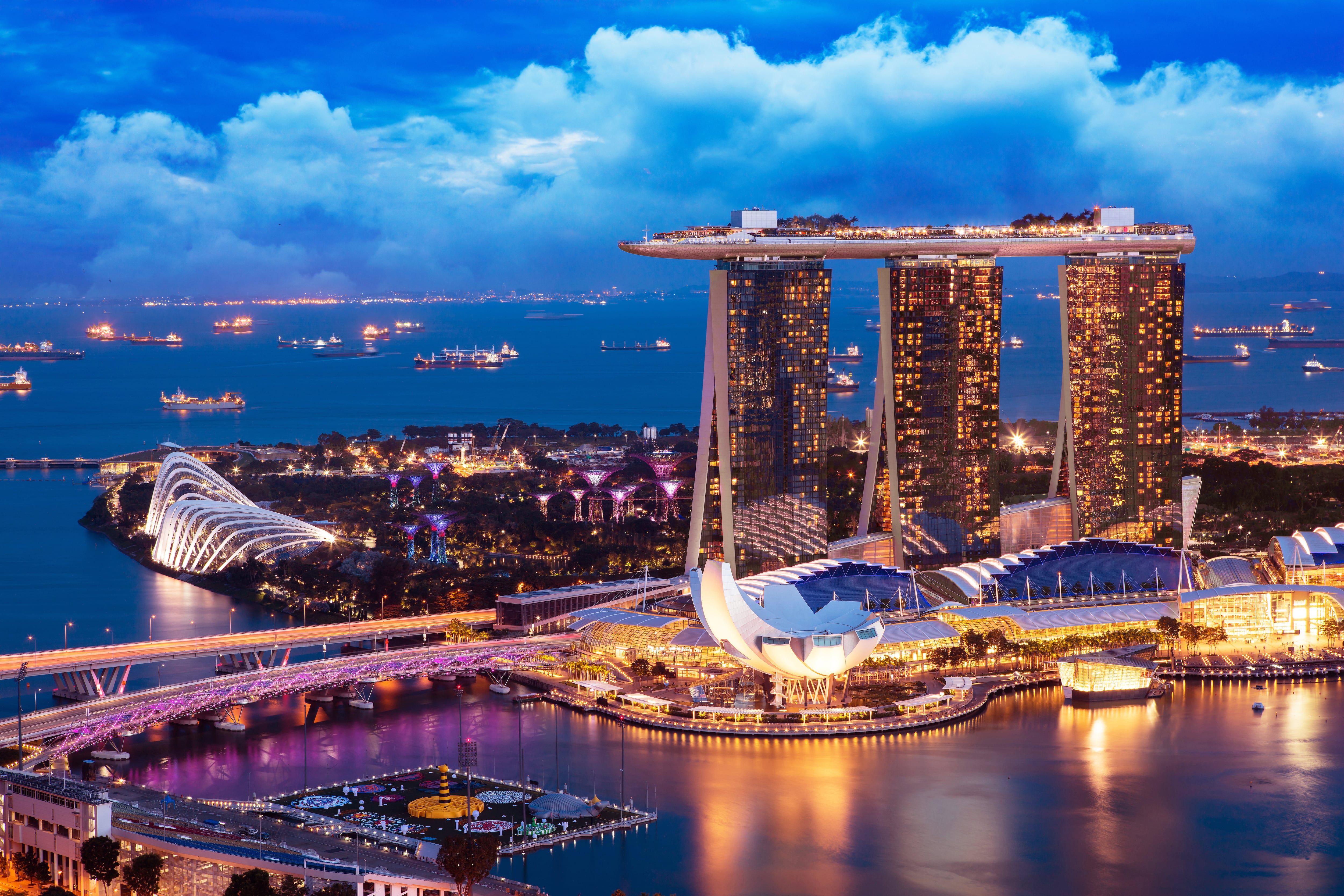 Resiliencia y continuidad: el caso de Singapur y los EAU