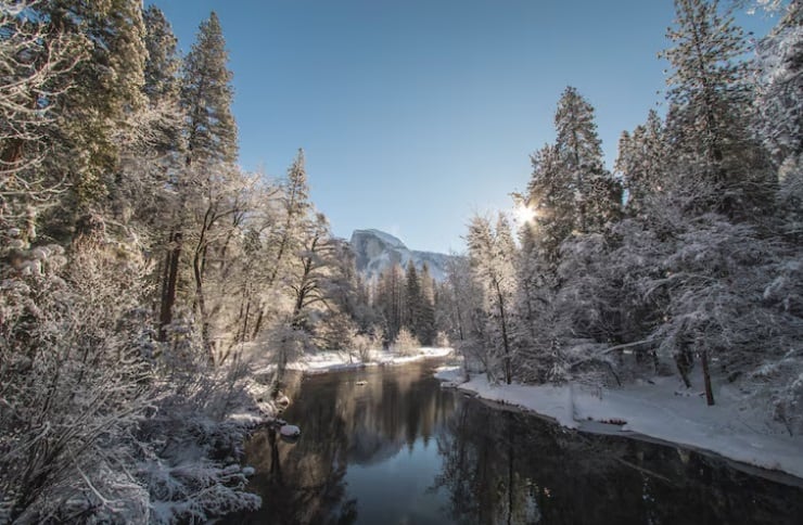 Algunos destacan por sus senderos nevados, otros por su tranquilidad, sus vistas fotográficas o sus actividades invernales. (Foto referencial: Freepik)