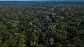 Francia financia proyecto para proteger millones de hectáreas en la Amazonía