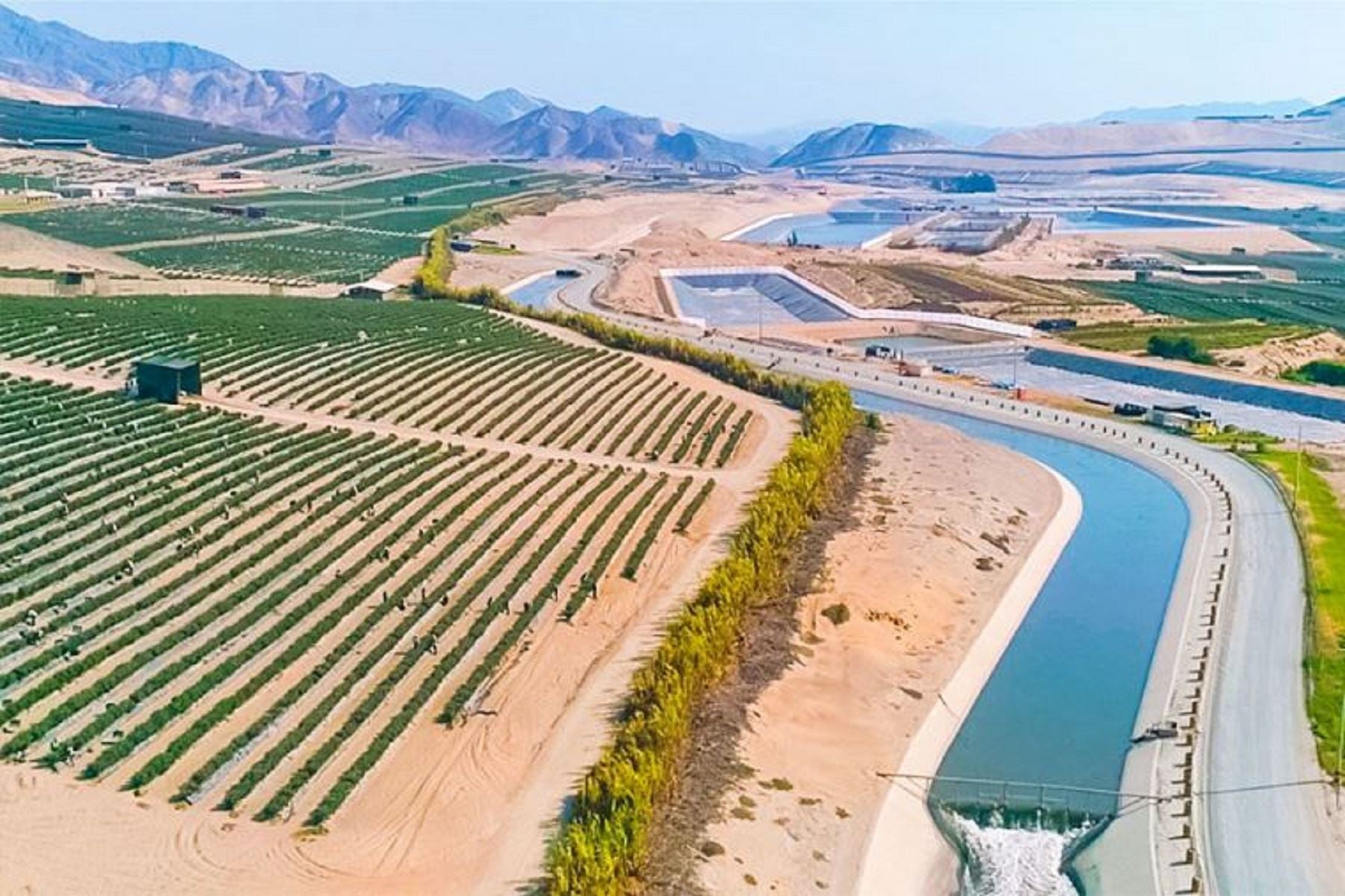 Productos cultivados en Chavimochic aumentaron agroexportaciones en 22% en 2024