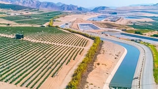 Productos cultivados en Chavimochic, una palanca para la agroexportación en 2024