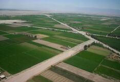 Majes Siguas pasa a manos de Midagri tras aprobación del Consejo Regional de Arequipa