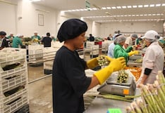 Minería, pesca y otras 4 actividades: el duro revés esperado para los sectores primarios