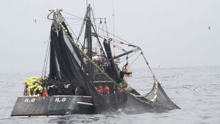 Produce distribuyó más de 600 inspectores para evitar pesca de juveniles de anchoveta