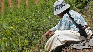 Minagri transfiere S/ 9.8 millones a Sunarp para proyecto de titulación y registro de tierras rurales